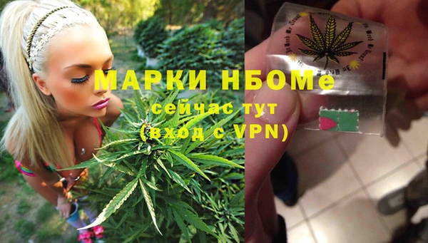 PSILOCYBIN Вязники